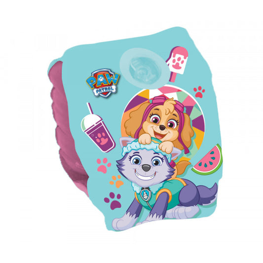Paw Patrol Arm Bands - Sky and Everest
